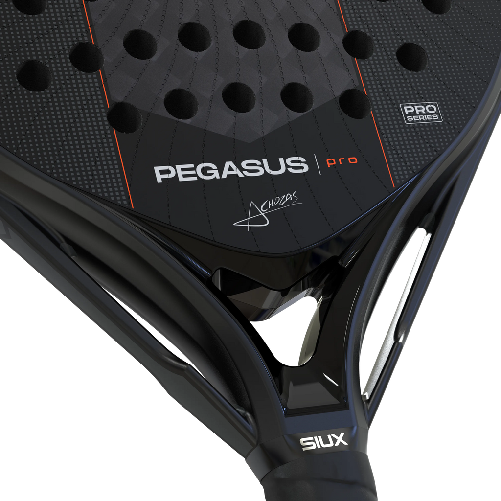 Pegasus Pro 2027 Black