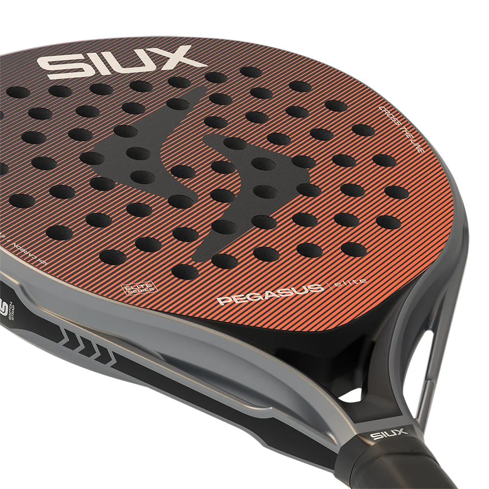 SIUX PEGASUS ELITE 2026