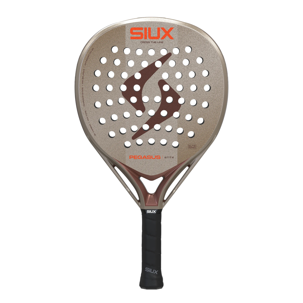 Pegasus Elite 2027