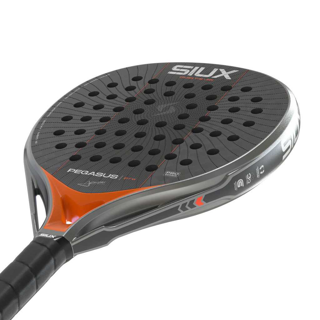 Pegasus Pro 2027 Silver