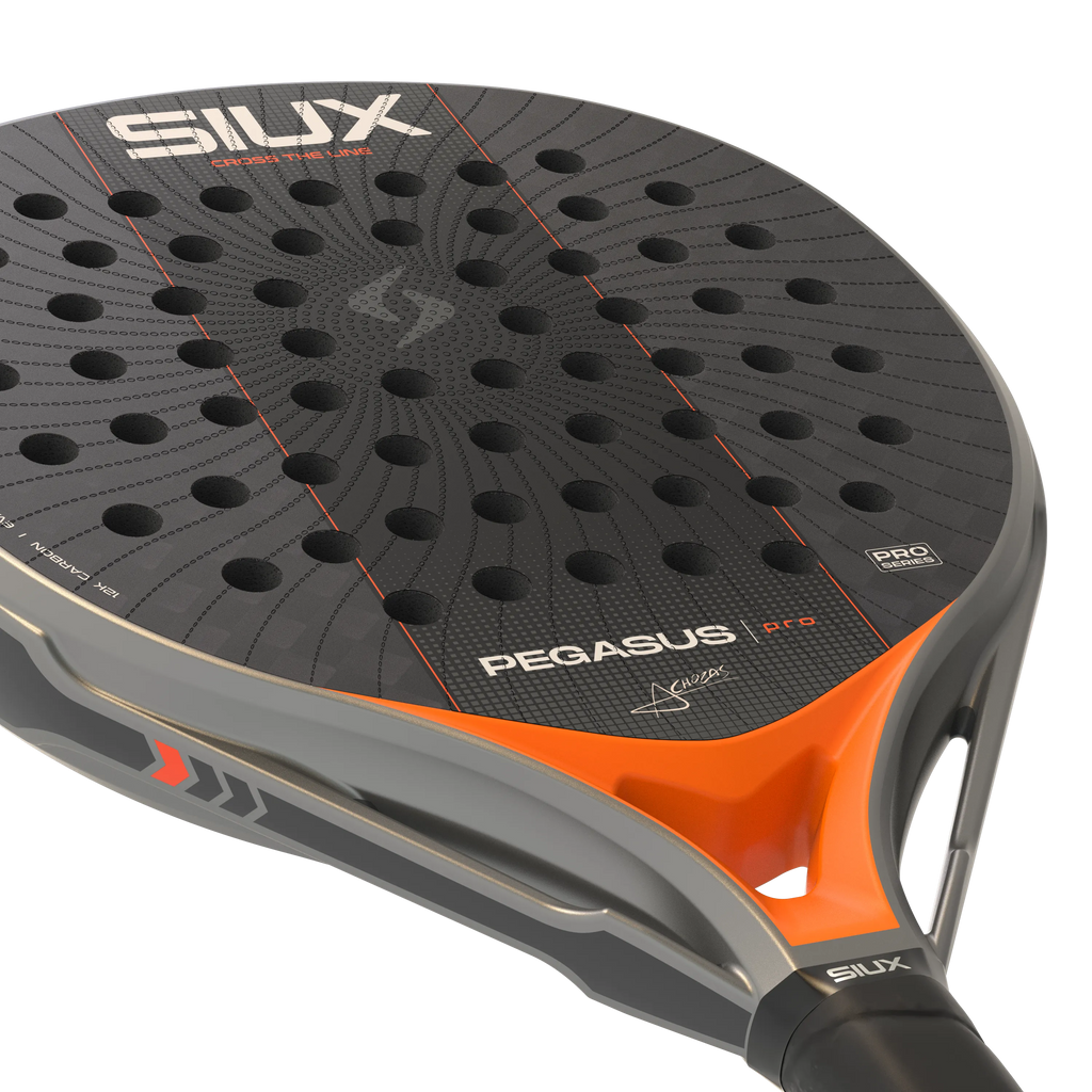 Pegasus Pro 2027 Silver