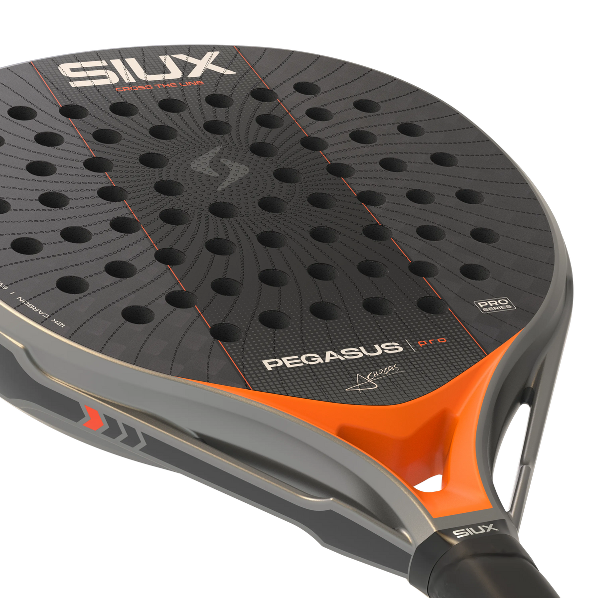 Pegasus Pro 2027 Silver