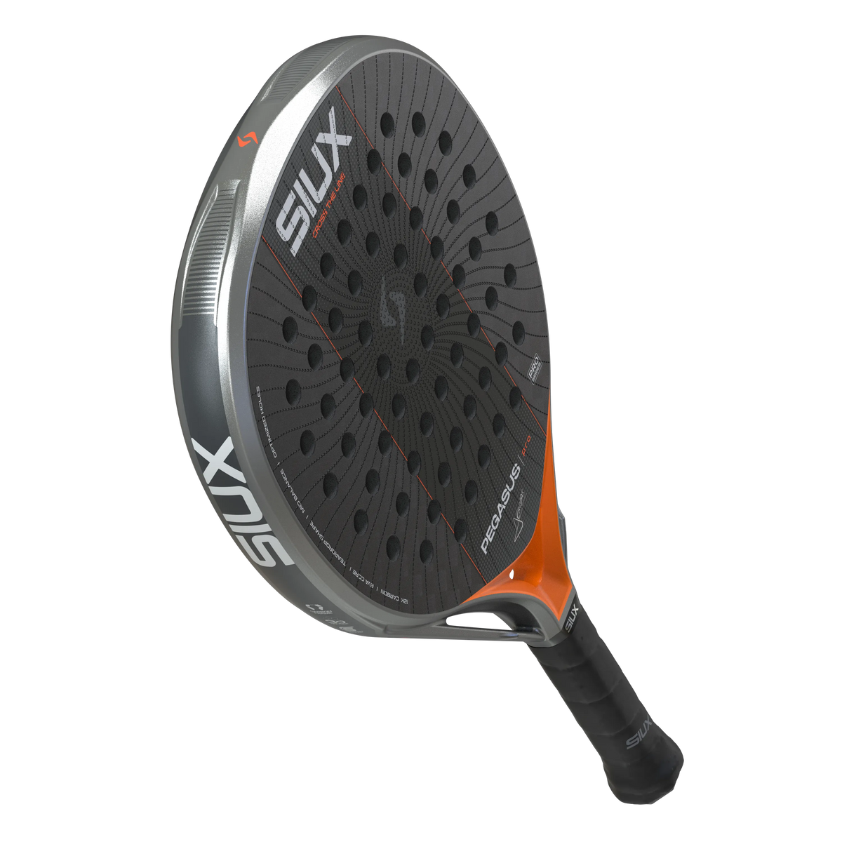 Pegasus Pro 2027 Silver