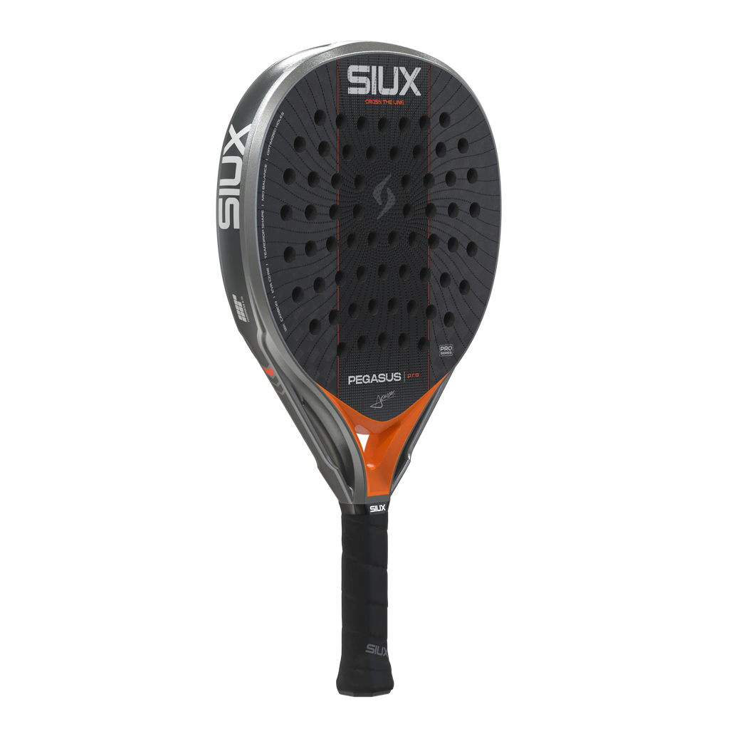 Pegasus Pro 2027 Silver