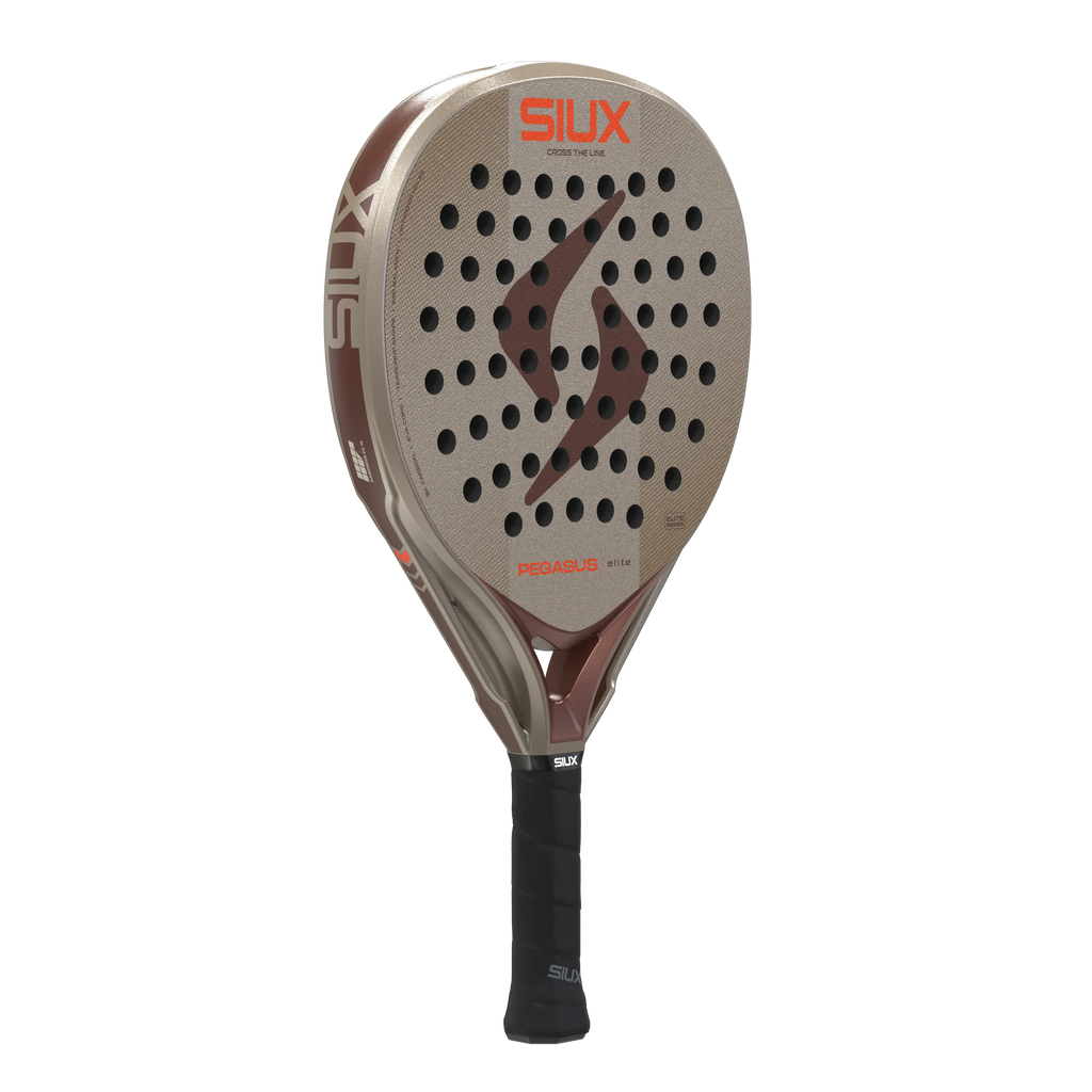 Pegasus Elite 2027