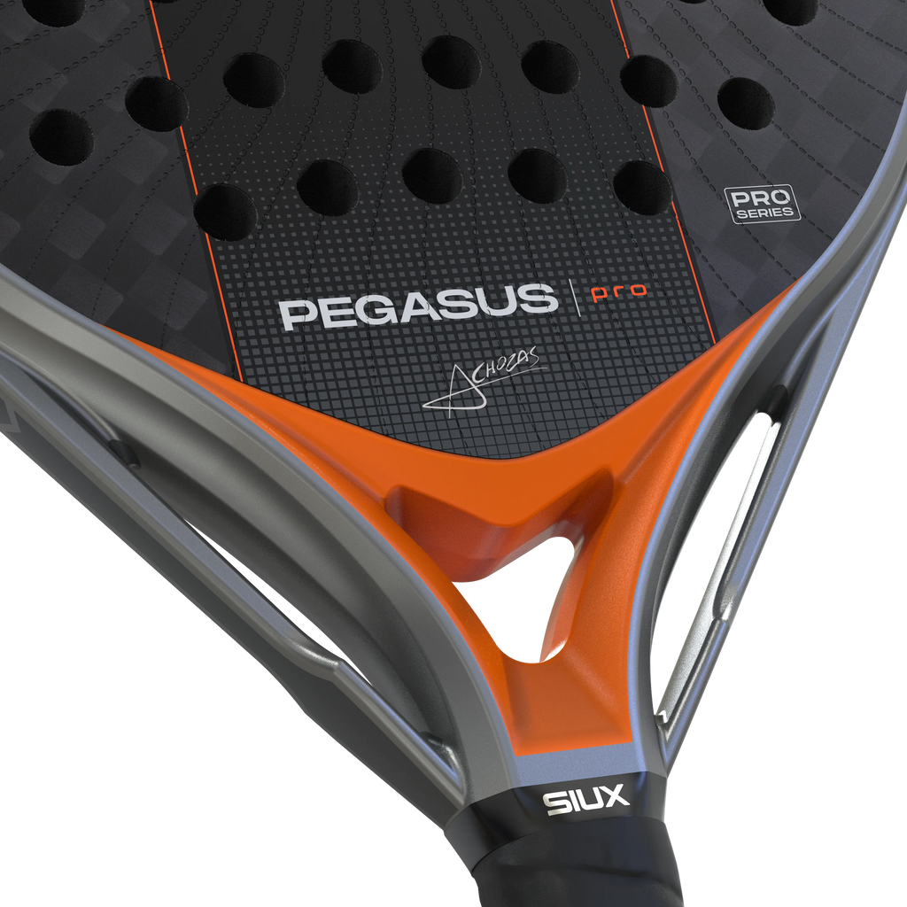 Pegasus Pro 2027 Silver