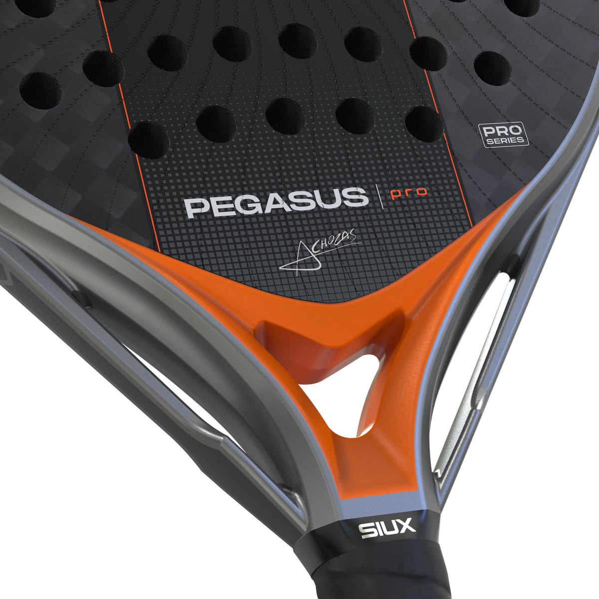 Pegasus Pro 2027 Silver