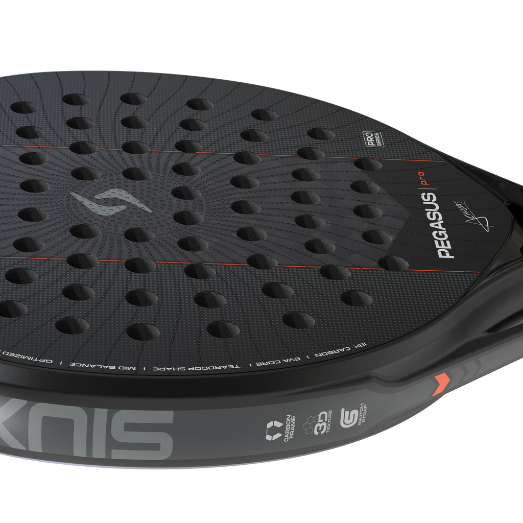 Pegasus Pro 2027 Black
